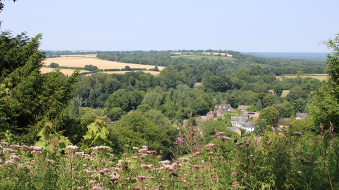 View from a hillside overlooking a village nestled among dense green woodland, with pink wildflowers in the foreground and patchwork fields stretching across the rolling countryside under a clear summer sky.